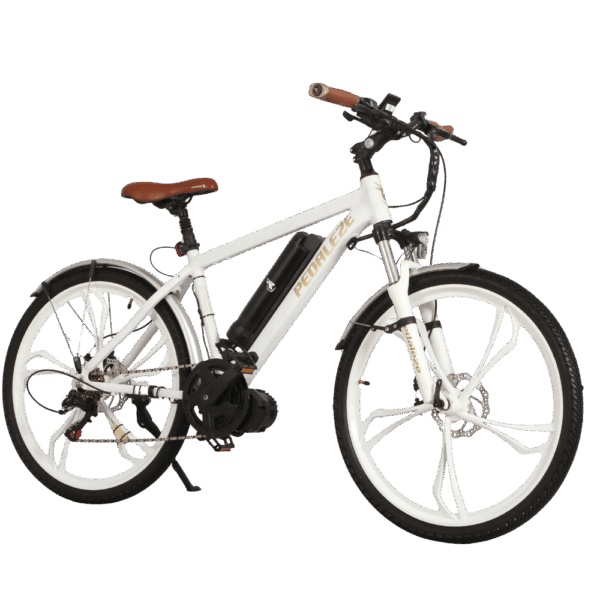 Gallery Thumb Gallery Thumb