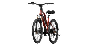 Electric Cycle in Chennai Town and Country Pedaleze