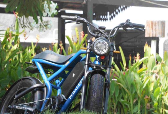 Ranger Retro electric moped by Pedaleze