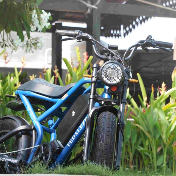 Ranger Retro electric moped by Pedaleze