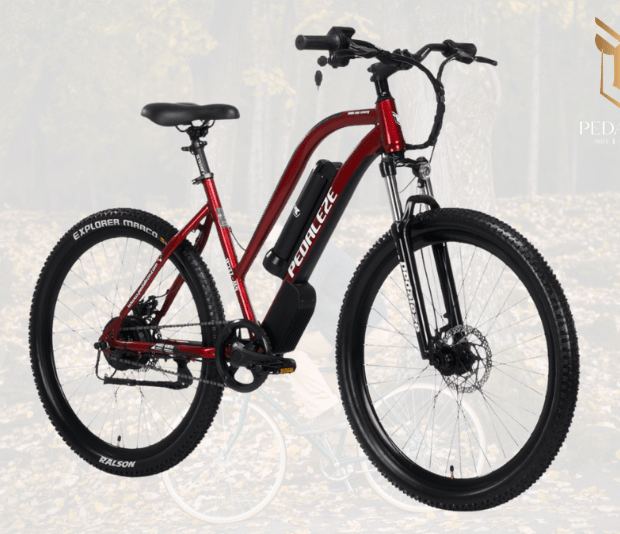 E-Cycles1