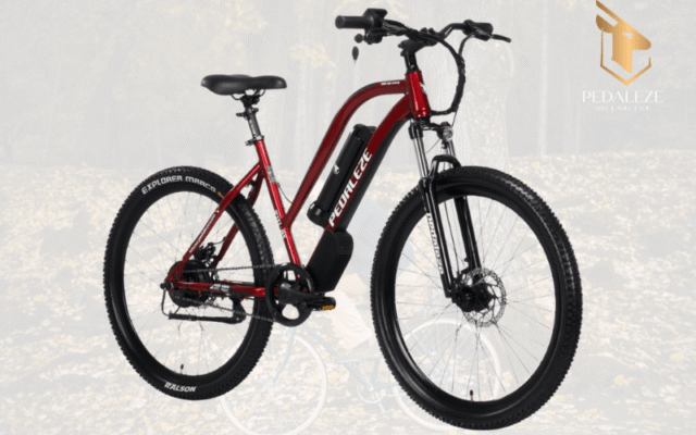 E-Cycles1